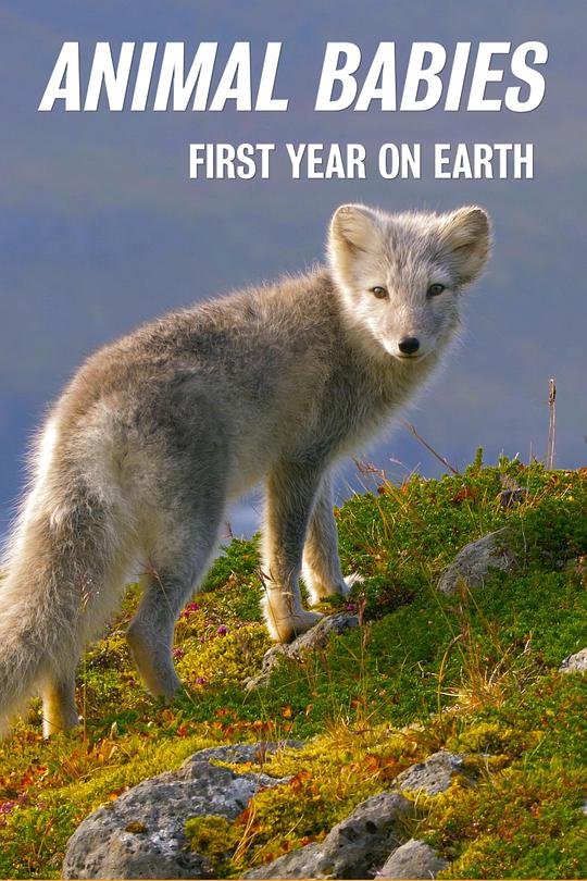 萌宝出生第一年 第02集