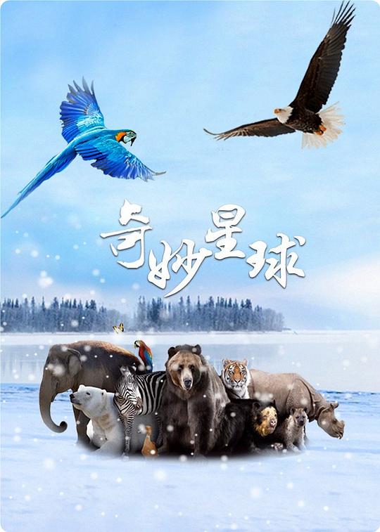 奇妙星球（国语) 第02集