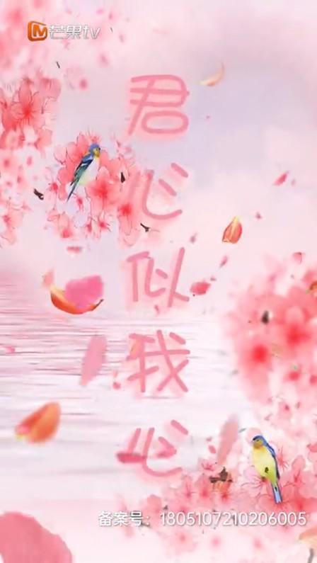 君心似我心 第01集