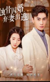 蚀骨囚婚,弃妻出逃 第101集