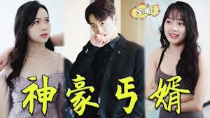 神豪丐婿 第101集