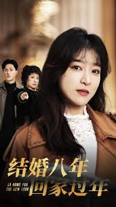 结婚八年回家过年 第01-30集(大结局)