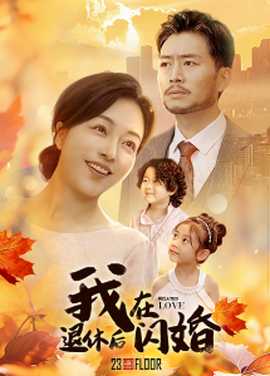 我在退休后闪婚 全集(大结局)